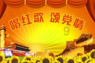 日常街拍